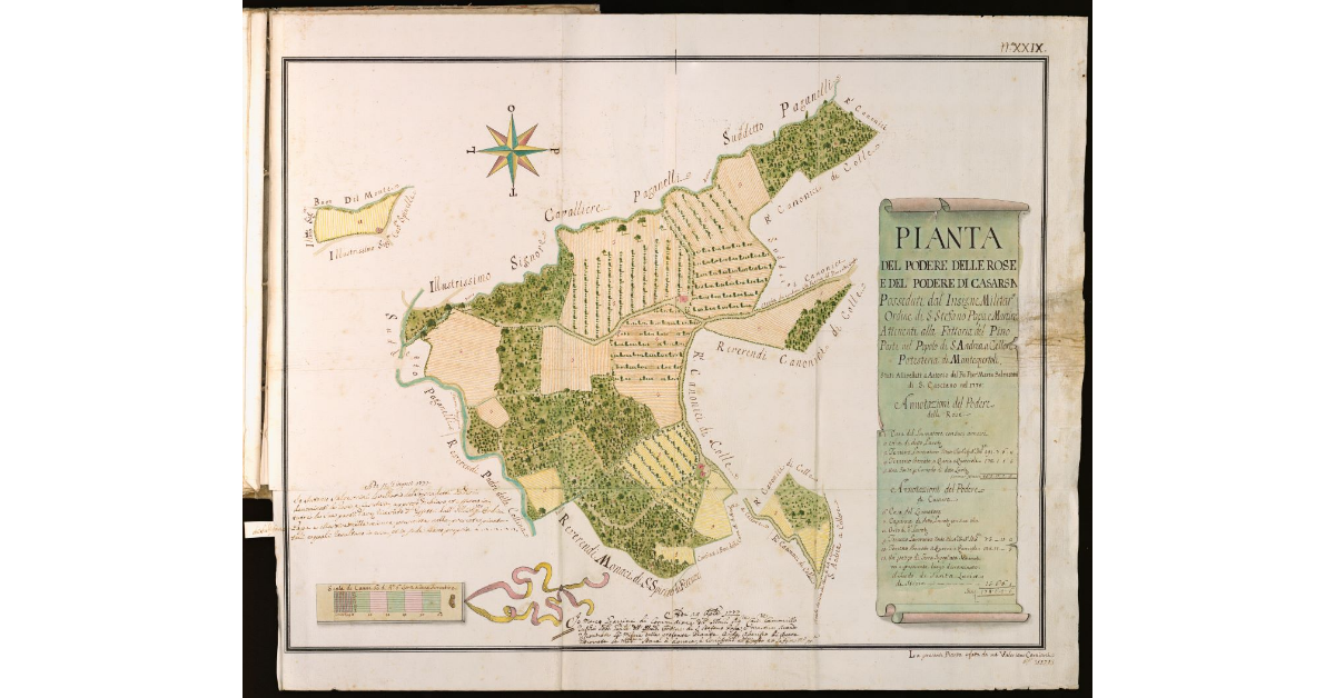 Pianta del podere delle Rose e del podere di Casarza [...]