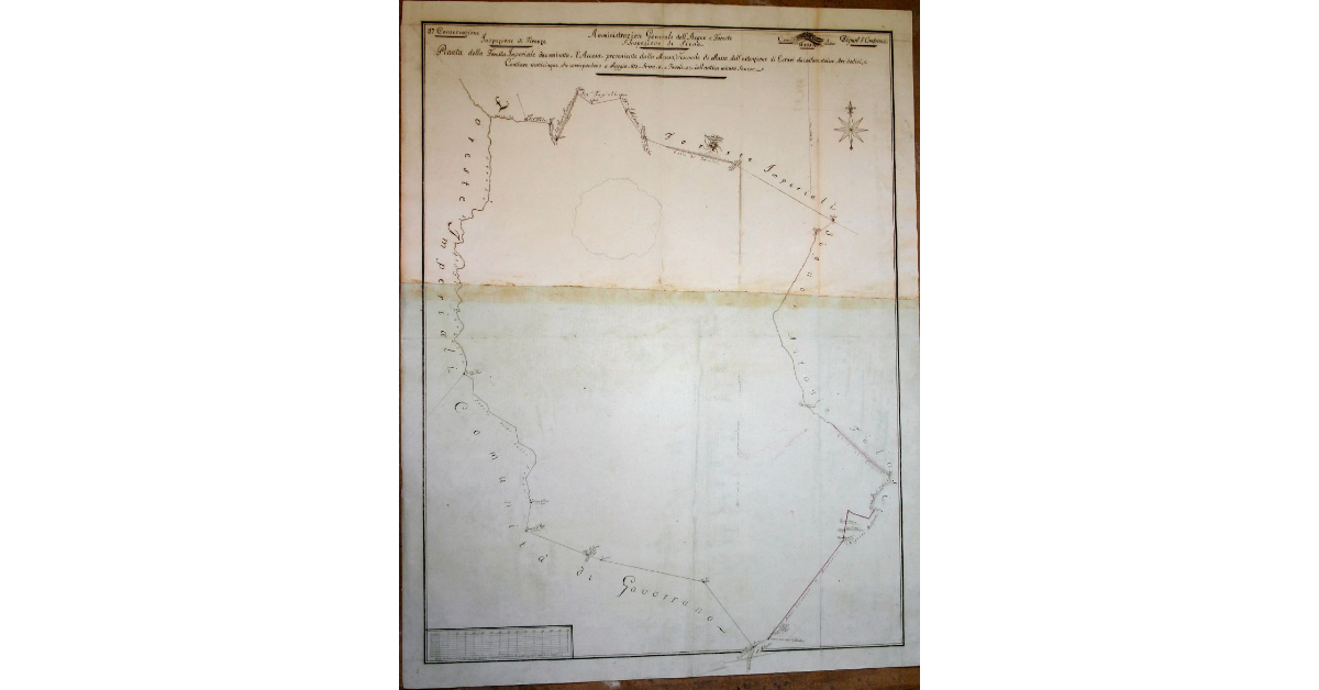 Pianta della Foresta imperiale denominata dell'Accesa