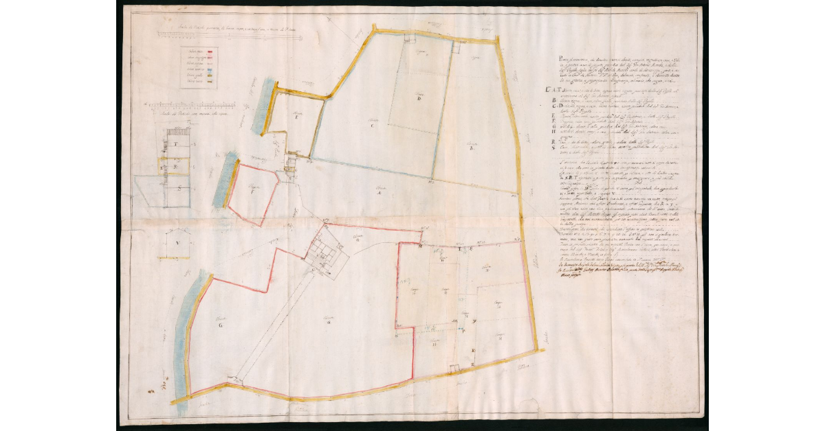 Pianta planimetrica che dimostra i terreni olivati, campivi e vignati con case e villa e prativi a use di pioppeto posseduti dal Sig.Giovanni Antonio Marchi e dalle Signore pupille figlie del fu Sig.Michele Marchi ambi di Seravezza, posti e situati in comune di Strettoia, luogo detto al Rio