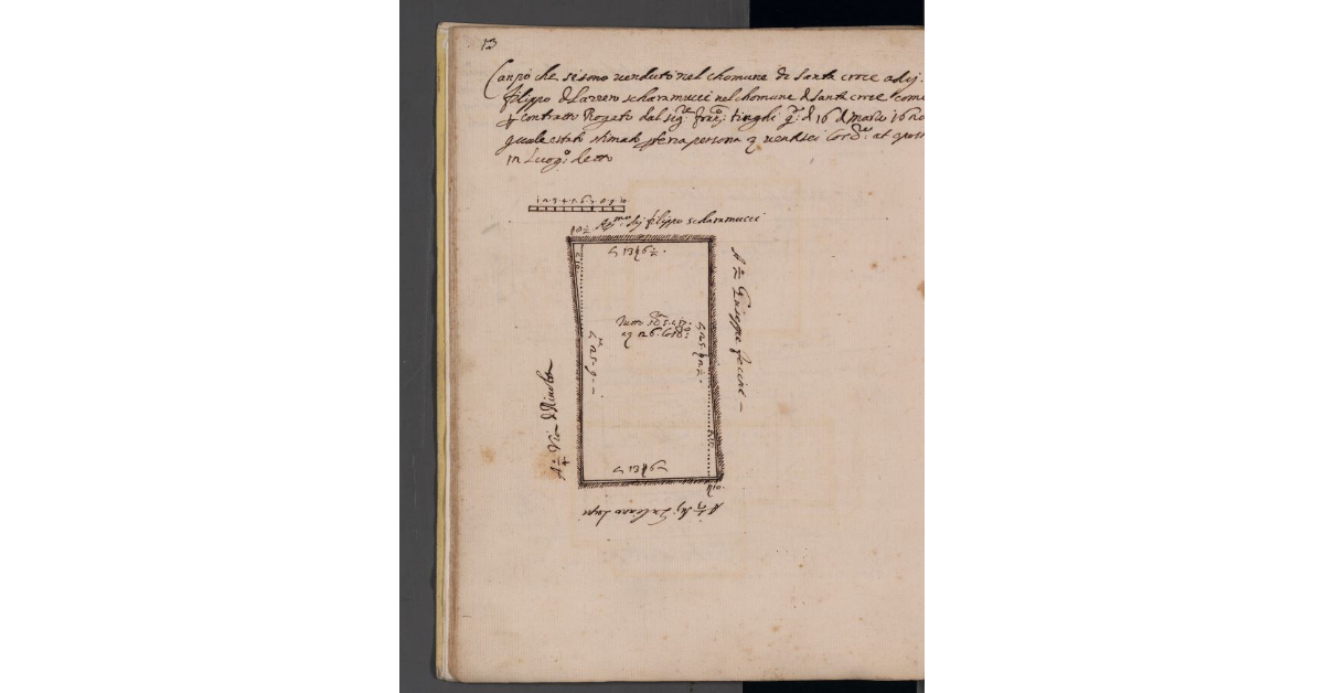 [Terreno venduto dalla commenda Magistrale a Filippo Scaramucci]