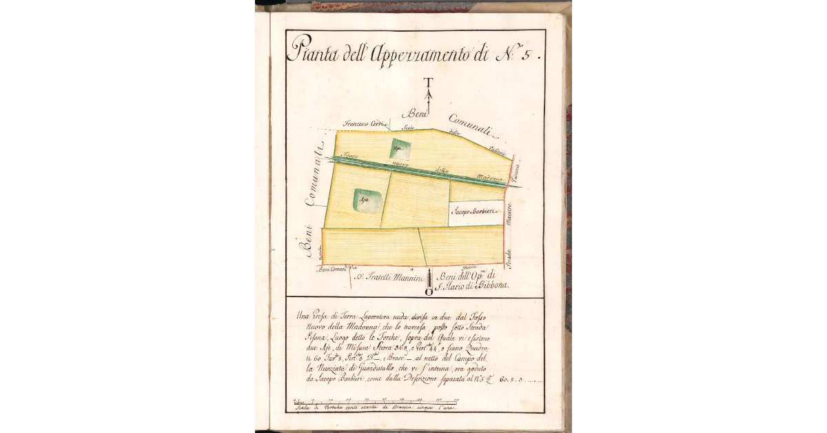 Pianta dell'Appezzamento di N. 5