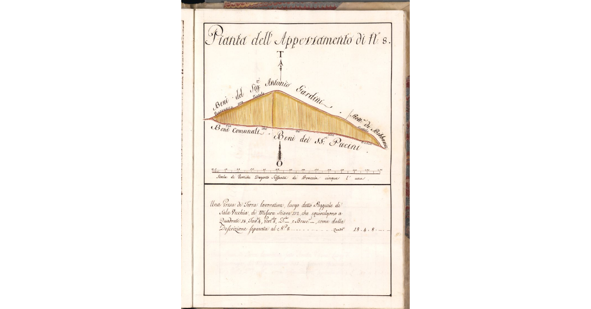Pianta dell'Appezzamento di N. 8
