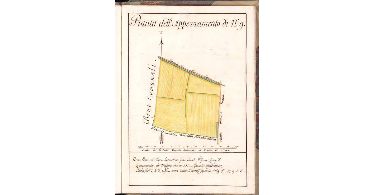Pianta dell'Appezzamento di N. 9