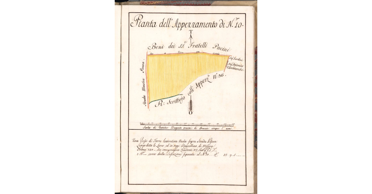 Pianta dell'Appezzamento di N. 10