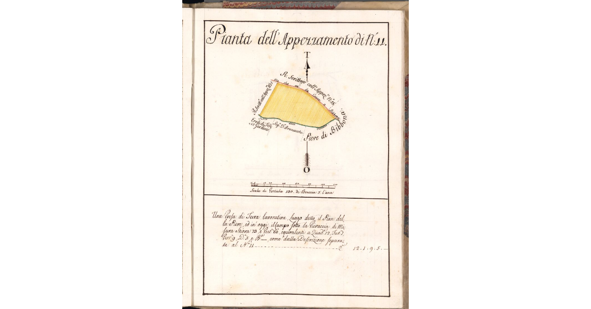 Pianta dell'Appezzamento di N. 11
