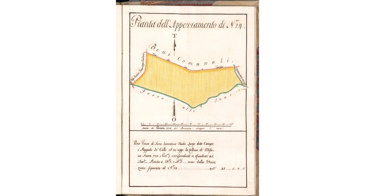 Pianta dell'Appezzamento di N. 14