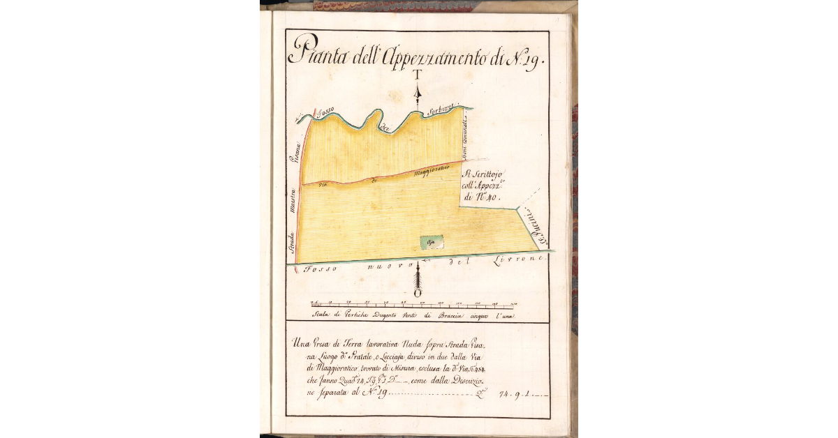 Pianta dell'Appezzamento di N. 19