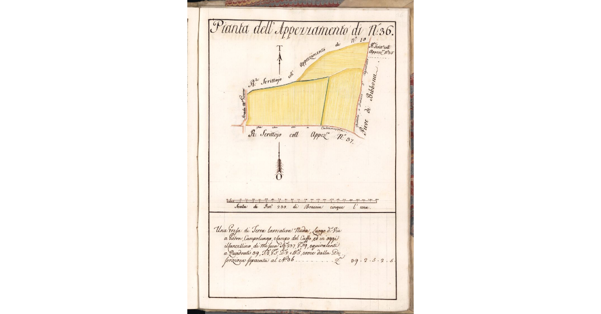 Pianta dell'Appezzamento di N. 36