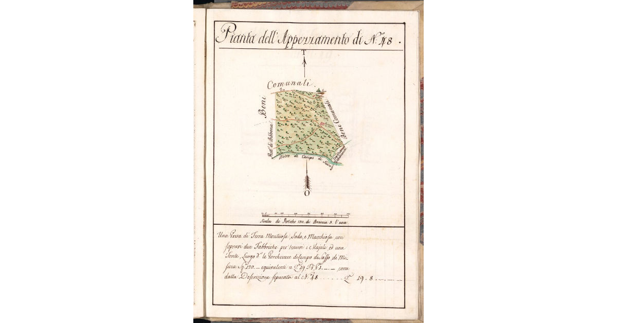 Pianta dell'Appezzamento di N. 48