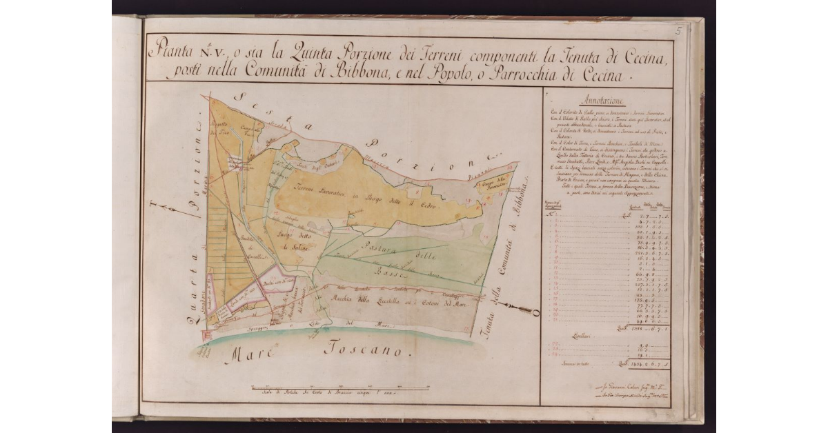 Pianta N. V, o sia la Quinta Porzione dei Terreni componenti la Tenuta di Cecina, posti nella Comunità di Bibbona, e nel Popolo o Parrocchia di Cecina