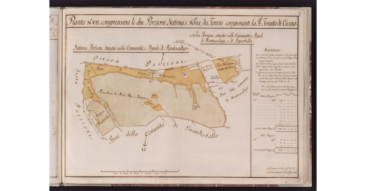 Pianta N. VII, comprensiva le due Porzioni, Settima, e Nona, dei Terreni componenti la R.le Tenuta di Cecina
