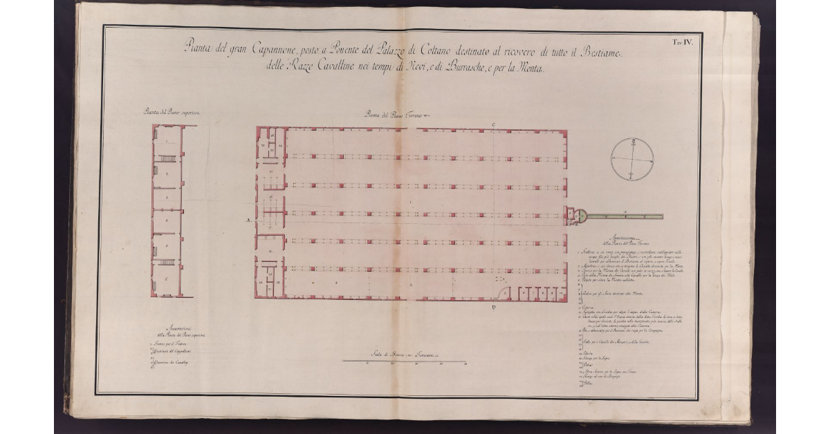 Pianta del gran Capannone, posto a Ponente del Palazzo di Coltano destinato al ricovero di tutto il Bestiame delle Razze Cavalline nei tempi di Nevi, Burrasche, e per la Monta