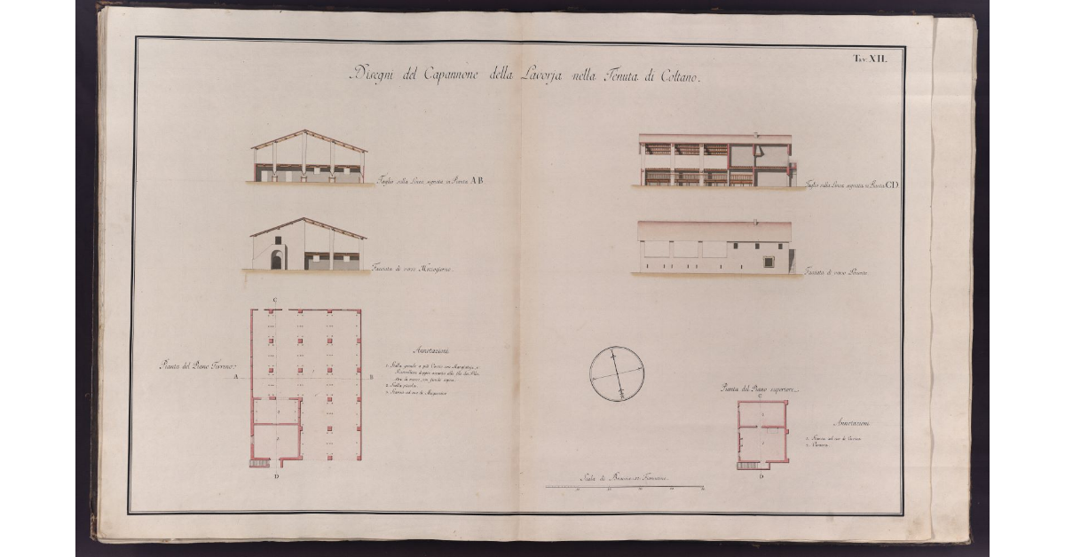 Disegni del Capannone della Lavorja nella Tenuta di Coltano