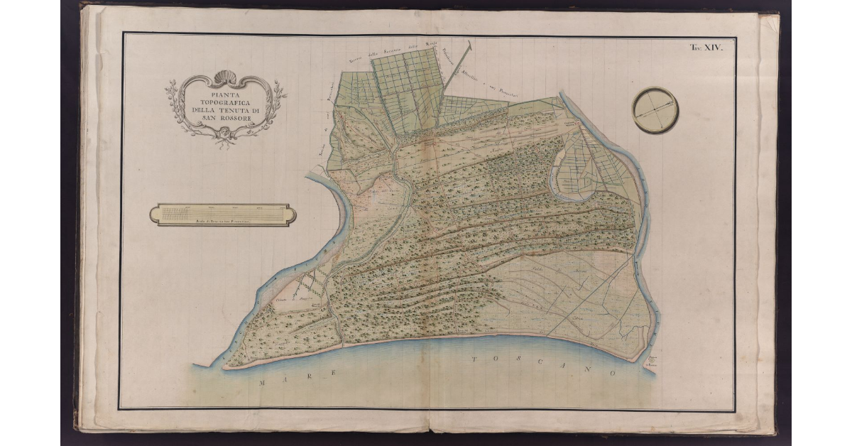 Pianta topografica della Tenuta di San Rossore