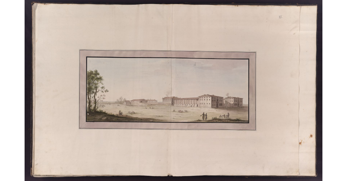 [Veduta delle Cascine nuove della tenuta di San Rossore]