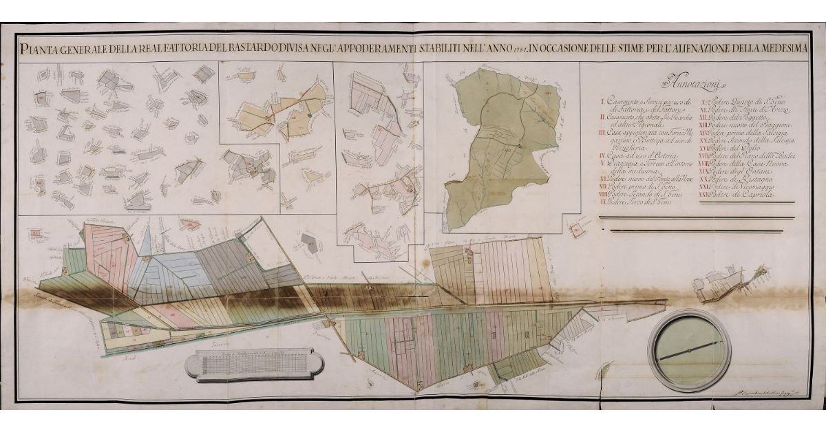 Pianta generale della Real Fattoria del Bastardo divisa negl'appoderamenti stabiliti nell'anno 1787 in occasione delle stime per l'alienazione della medesima