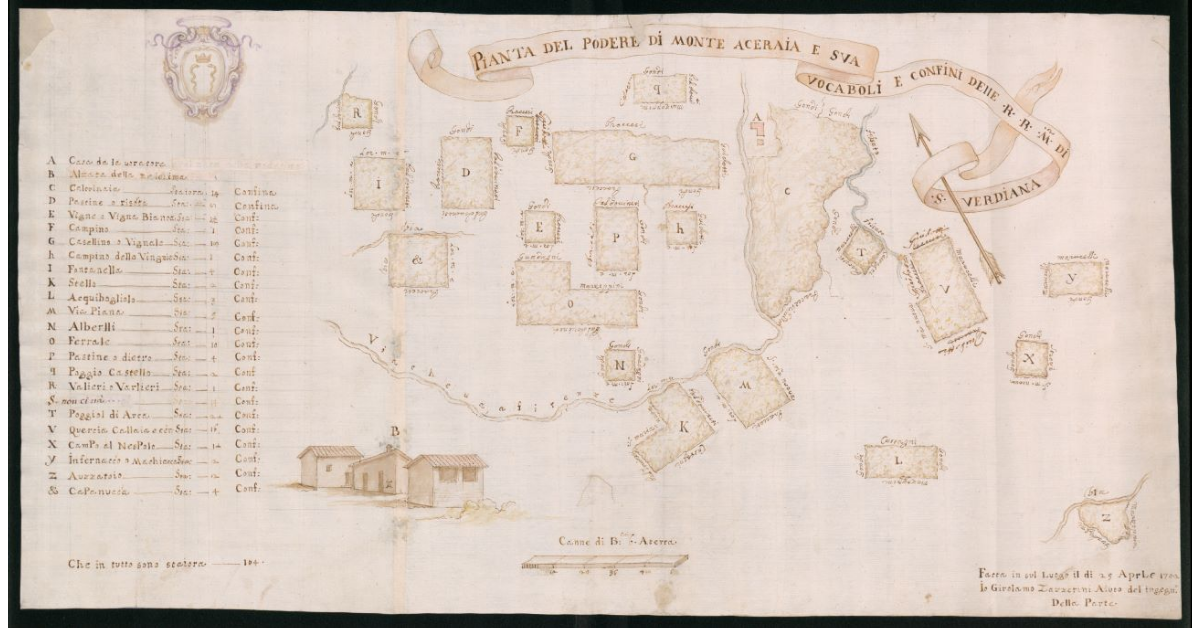 Pianta del Podere di Monte Aceraia e suoi vocaboli e confini delle RR.monache di S.Verdiana