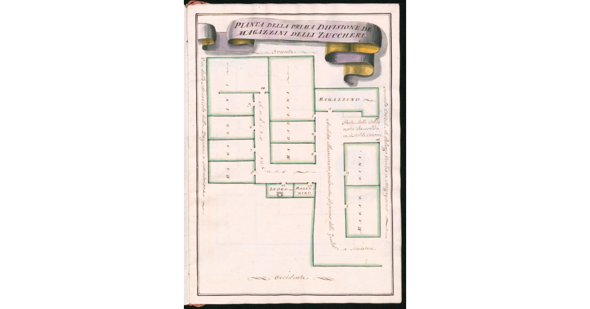 Pianta della Prima Divisione De Magazzini delli zuccheri