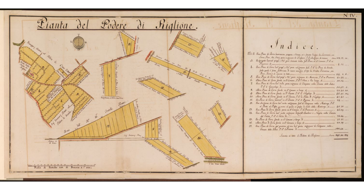 Pianta del Podere di Riglione