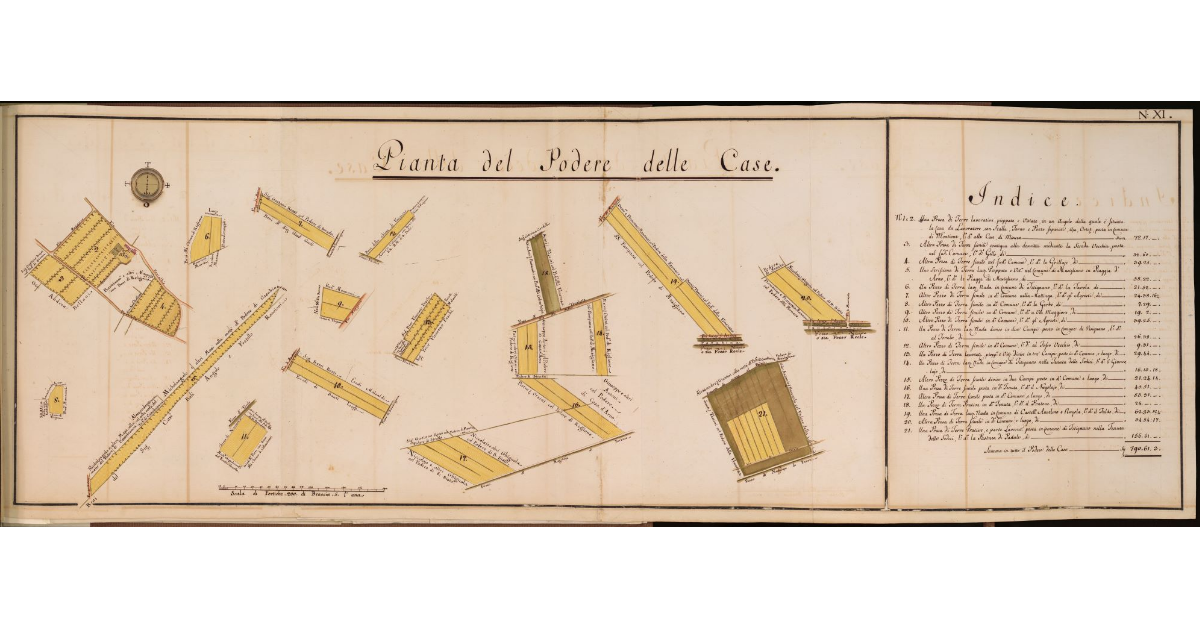 Pianta del Podere delle Case