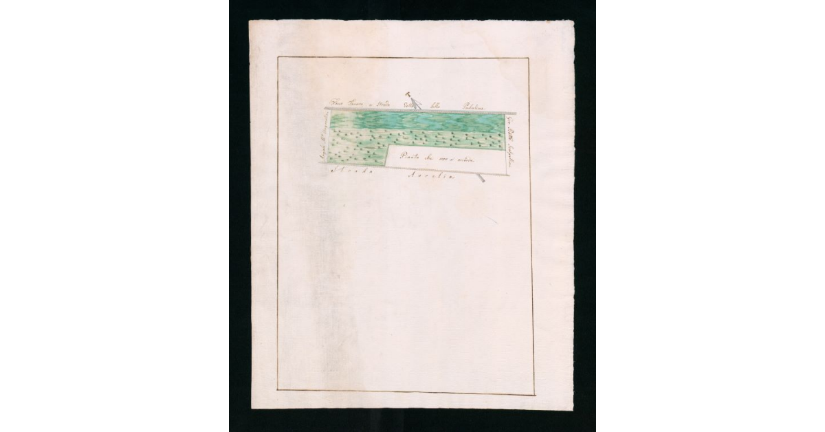 [Mappe pseudo-catastali di terre palustri e a seminativo nudo prive di insediamenti ubicate nella comunità di Grosseto]