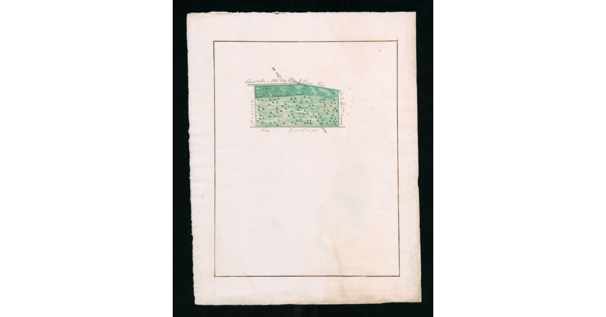 [Mappe pseudo-catastali di terre palustri e a seminativo nudo prive di insediamenti ubicate nella comunità di Grosseto]