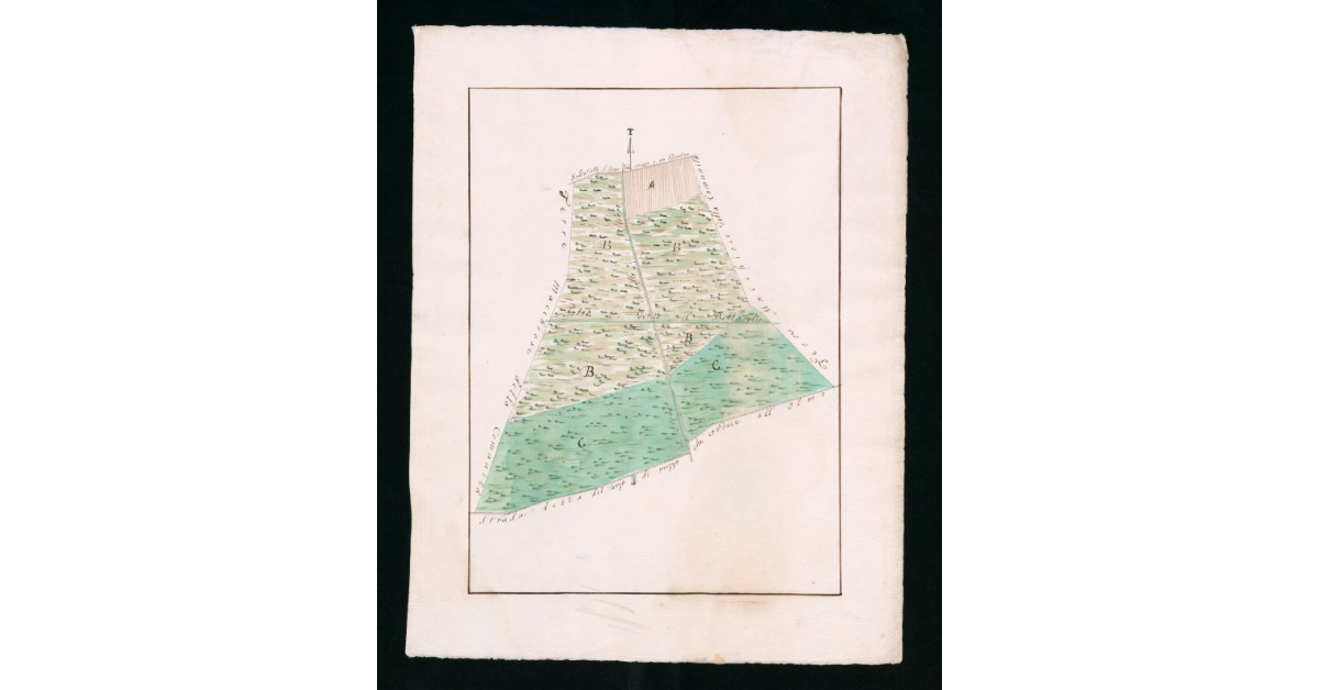 [Mappe pseudo-catastali di terre palustri e a seminativo nudo prive di insediamenti ubicate nella comunità di Grosseto]