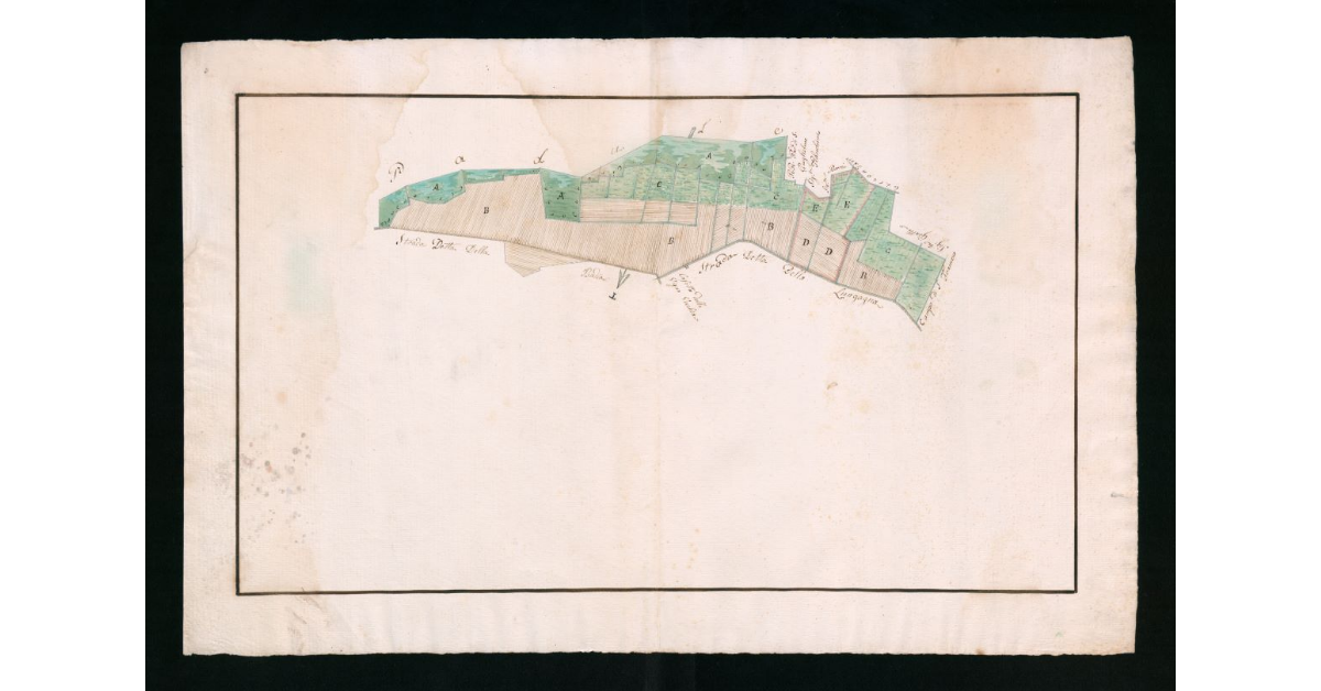 [Mappe pseudo-catastali di terre palustri e a seminativo nudo prive di insediamenti ubicate nella comunità di Grosseto]