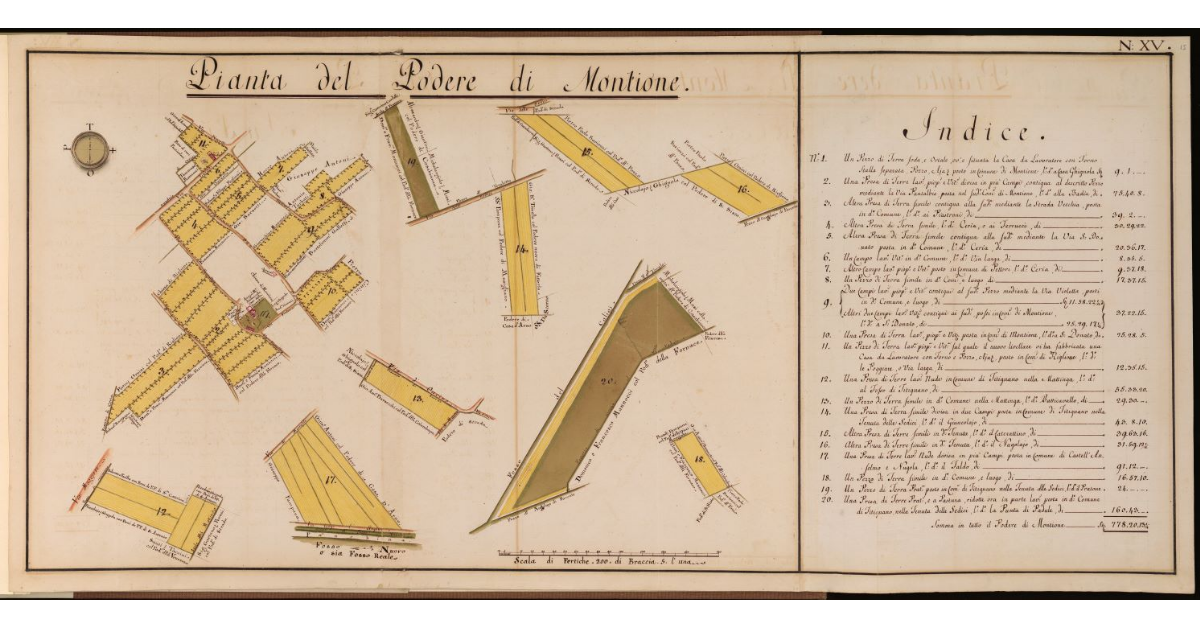 Pianta del Podere di Montione