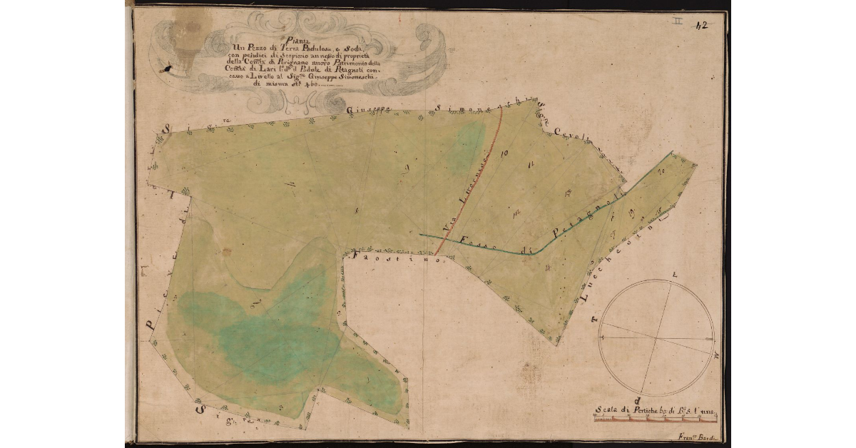 Pianta di un pezzo di terra padulosa e soda con pendici di scopiccio annesso di proprietà della Comunità di Perignano nuovo patrimonio della Comunità di Lari luogo detto il Padule di Pedegnoli [...]