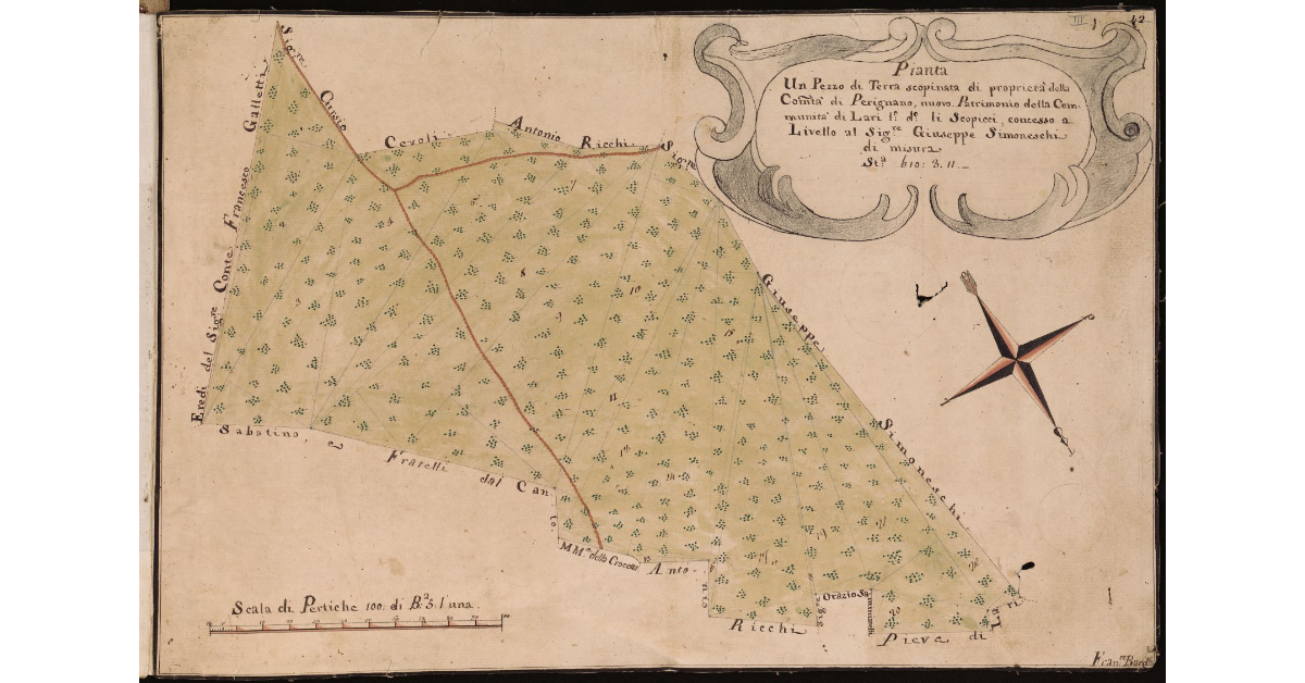 Pianta di un pezzo di terra scopinata di proprietà della Comunità di Perignano, nuovo Patrimonio della Comunità di Lari, luogo detto li Scopicci