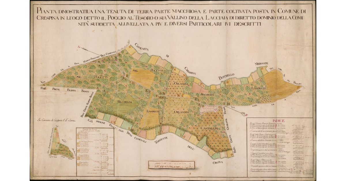 Pianta dimostrativa di una tenuta di terra parte macchiosa e parte coltivata posta in comune di Crespina in l.d. Il Poggio al Tesoro o sia Vallino della Lacciaia [...]
