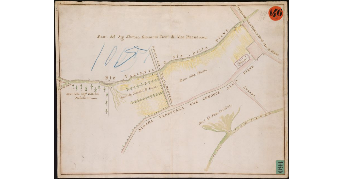 Beni del Sig. dott. Giovanni Cioni di Vicopisano