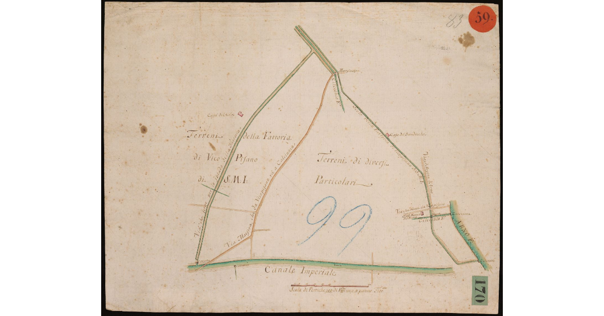 [Pianta dei terreni della fattoria di Vicopisano e di diversi particolari fra il Canale Imperiale e l'Arno]