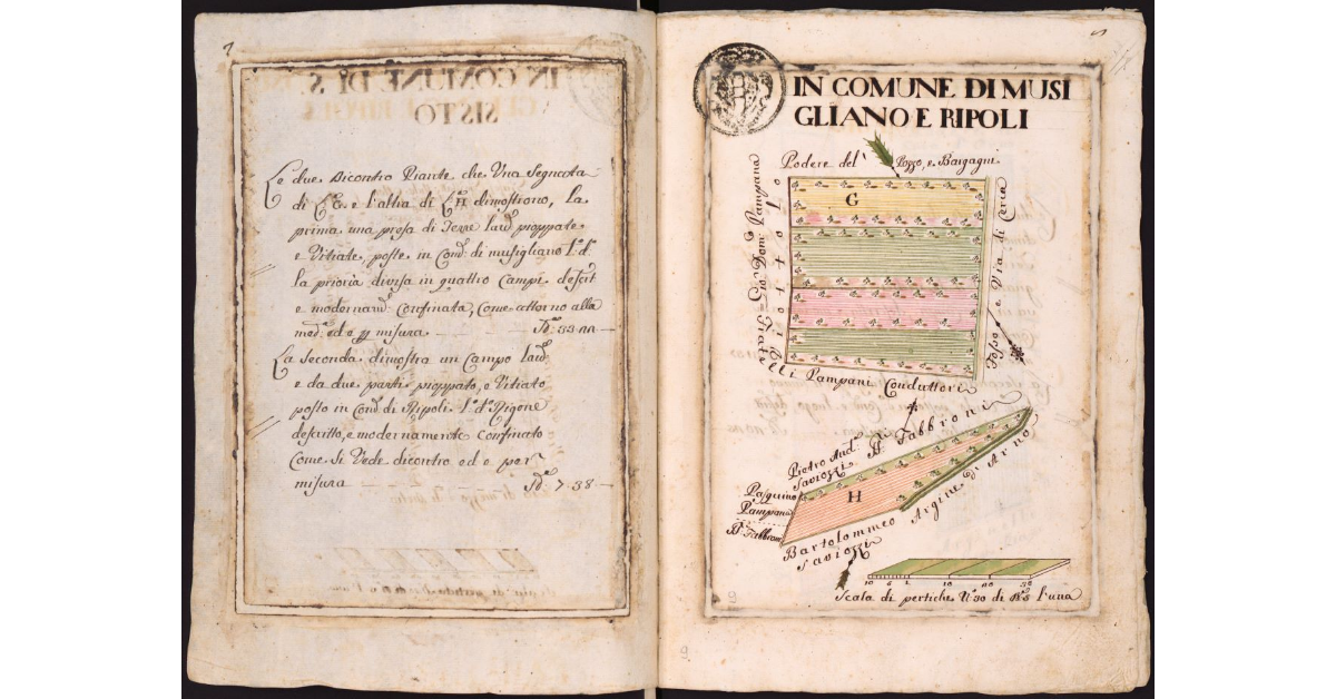 In Comune di Musigliano e Ripoli