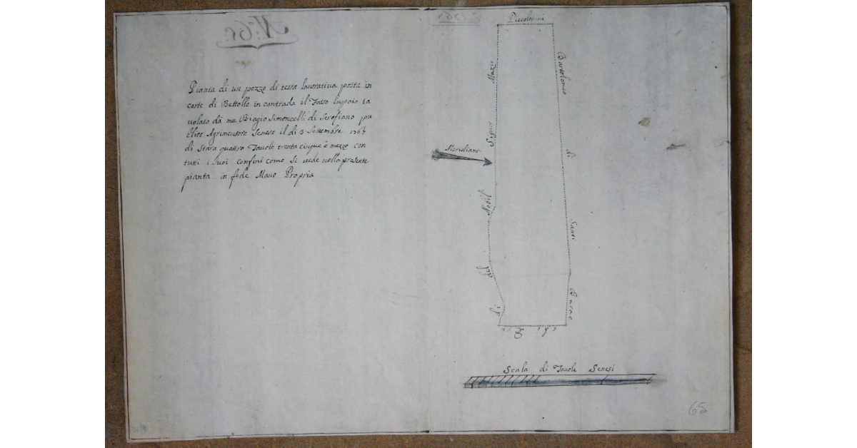Pianta di un pezzo di terra lavorativa posta in corte di Bettolle in contrada il Fosso Lupaio
