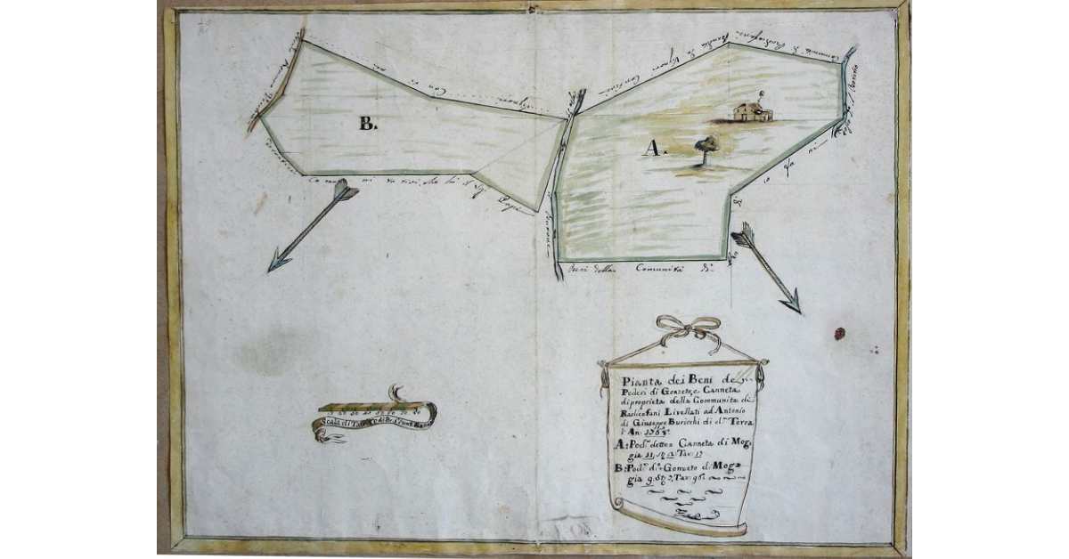 Pianta dei Beni dei Poderi di Gonzeto, e Canneta di proprietà della Comunità di Radicofani Livellati ad Antonio di Giuseppe Buricchi di detta Terra l’anno 1768