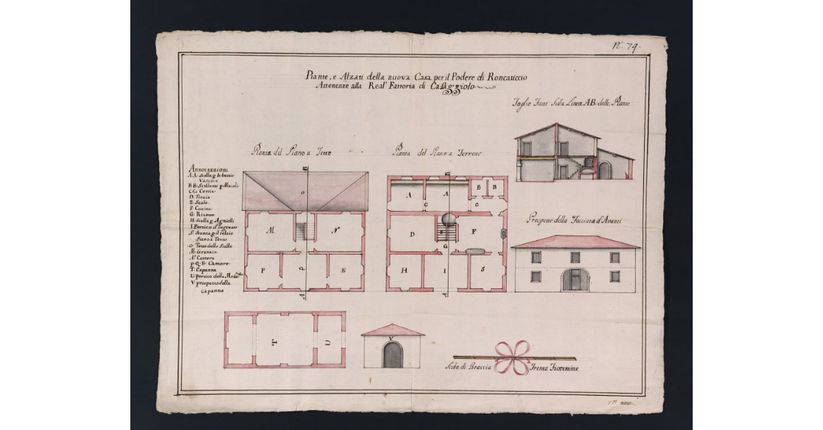 Piante, e Alzati della nuova Casa per il Podere di Roncaticcio attenente alla Real Fattoria di Cafaggiolo