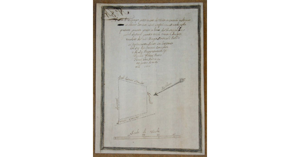 Pianta di un campo posto in corte di Torrita in Contrada Molinaccio et alberato con tutti i suoi confini come si vede nella presente pianta ...