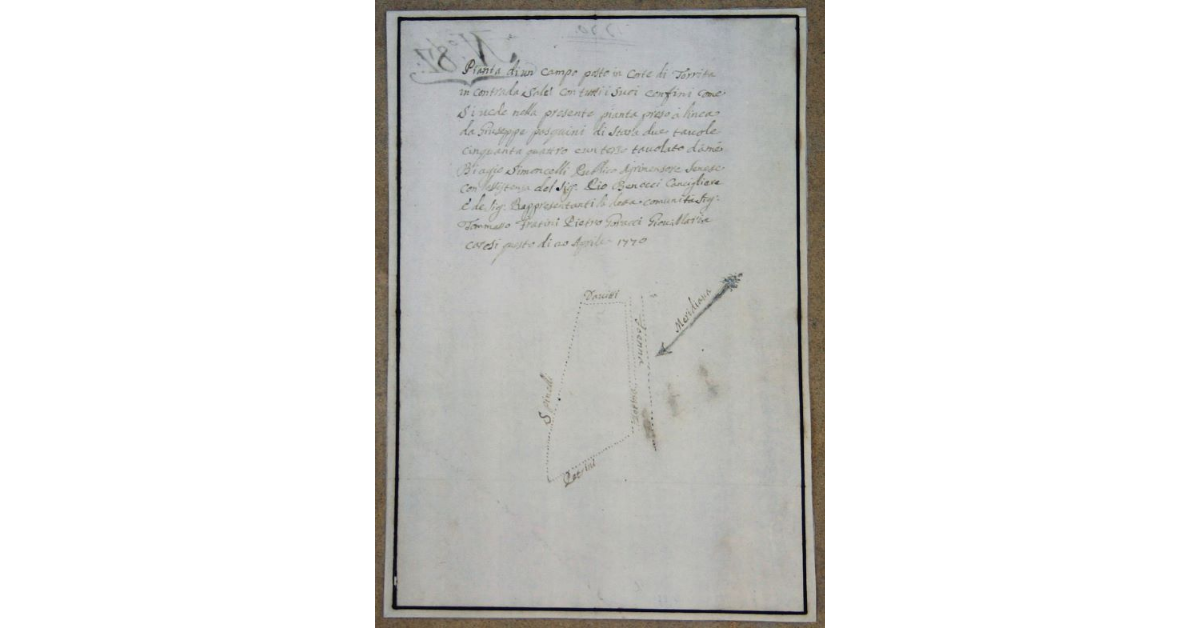Pianta di un Campo posto in Corte di Torrita in Contrada Salci con tutti i suoi confini come si vede nella presente pianta presa a linea da giuseppe Pasquini di stara due tavole cinquanta quattro e un terzo tavolato da me Biagio Simoncelli Pubblico agrimensore senese con l' assistenza del Signor Pio Berocci consigliere e de Signor Rappresentante la detta Comunità signor Tommasso Fratini Pietro Goracci Cioni Maria