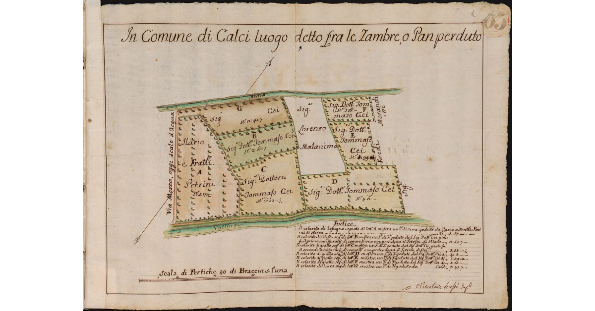 In comune di Calci luogo detto fra le Zambre o Pan Perduto
