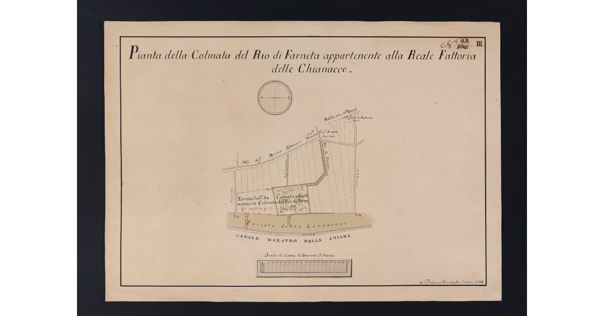 Pianta della Colmata del Rio di Farneta appartenente alla Reale Fattoria delle Chianacce
