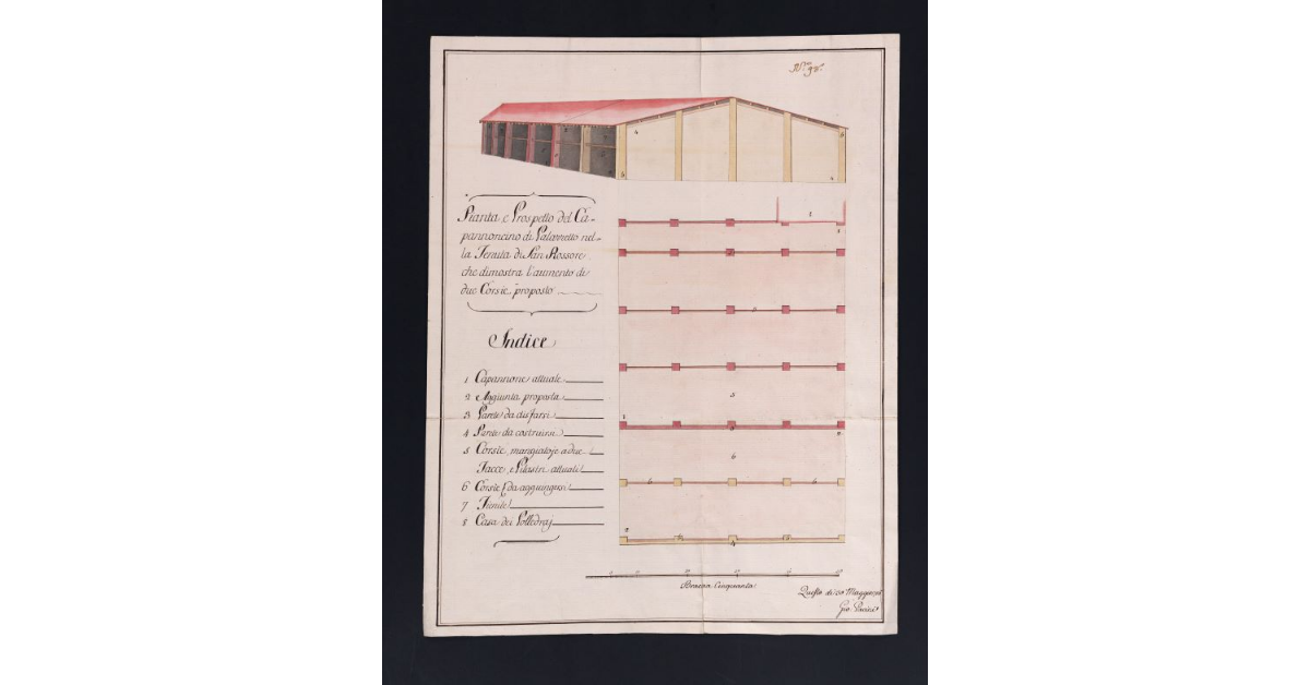 Pianta e Prospetto del Capannoncino di Palazzetto nella Tenuta di San Rossore che dimostra l'aumento di due Corsie proposto