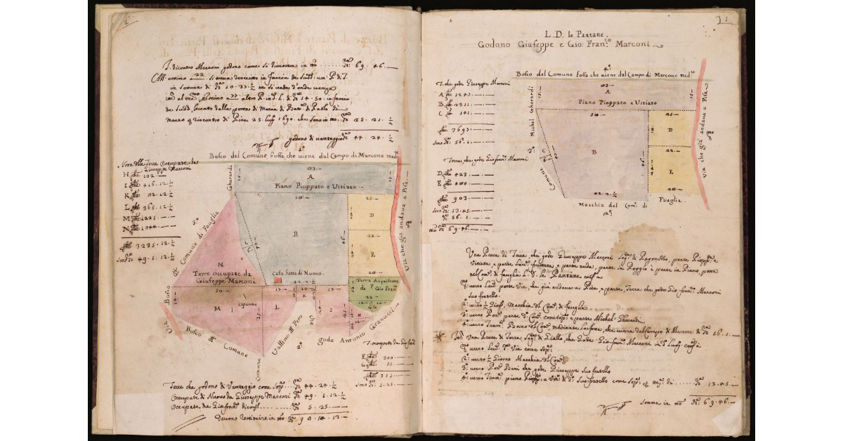 [Terre alle Pantane di Fauglia]