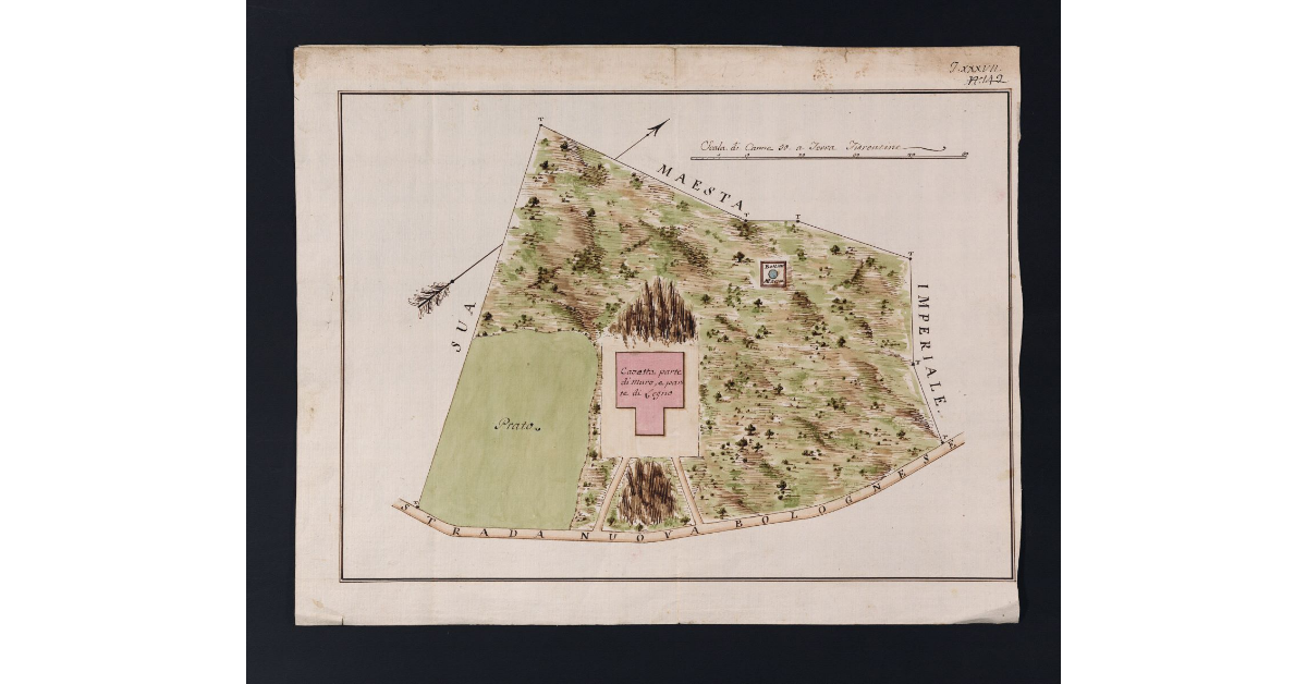 [Pianta di un appezzamento di terreno appartenente alla fattoria di Panna, posto su monte Fò lungo la nuova strada Bolognese]