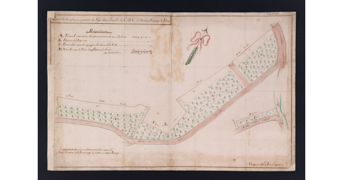 Pianta della Lunghezza, e quantità dei Fossi dati a Livello da S.M.C. ad Antonio Fiascaini di Prato