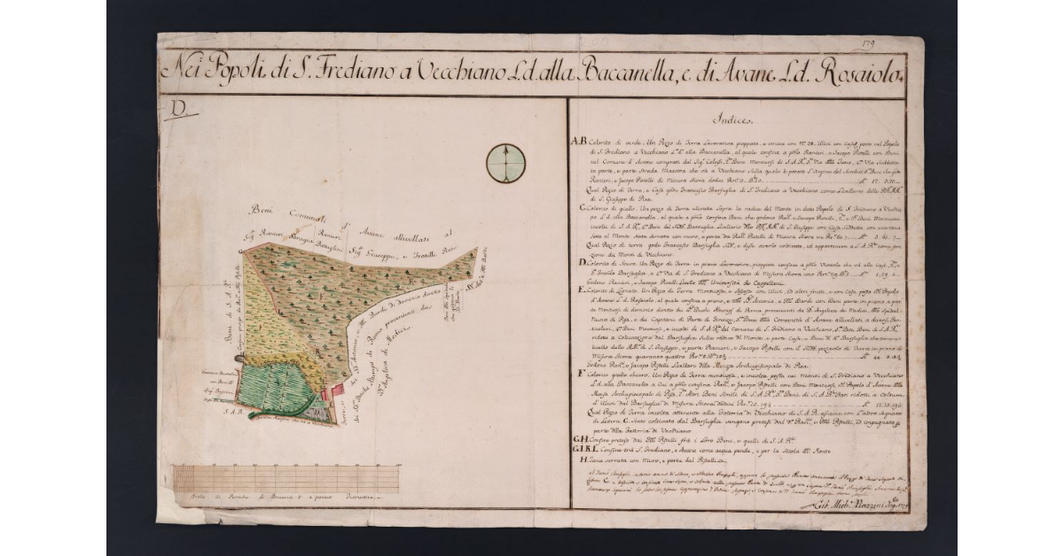 Nei Popoli di S. Frediano e Vecchiano L. d. alla Baccanella, e di Avene L. d. Rosaiolo