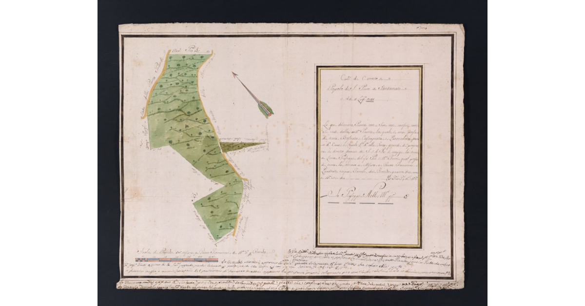 [Pianta di un appezzamento di terreno boschivo posto nella comunità di Cerreto]